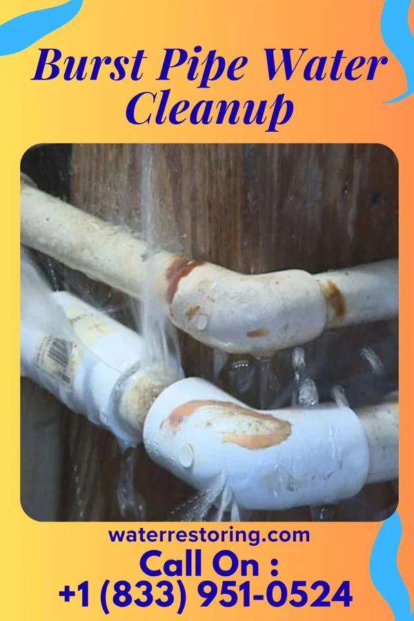 Burst Pipe Water Cleanup in Smithfield, PA