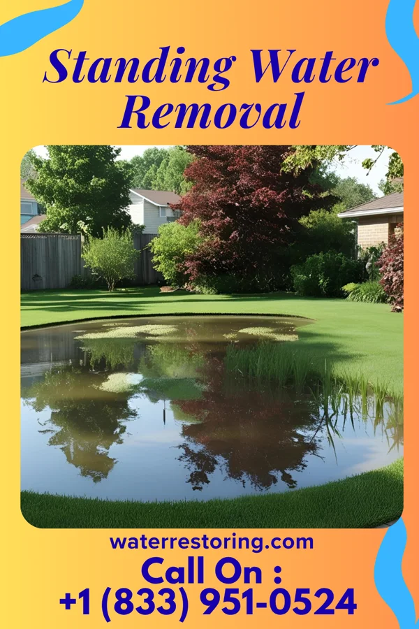 Standing Water Removal in Smithfield, PA